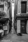 La mendiante de Venise